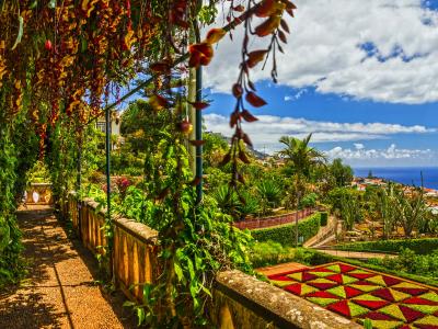 Botanikos sodas   Funchal   Madeira