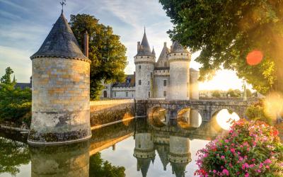 Castle Chateau de Sully sur Loire