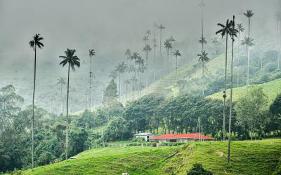 Cocora Valley House Quindío Colombia