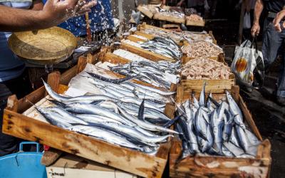 One of the fish stall that you can find at the fish marekt in Catania